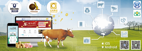 拥抱金融科技，推动物联网+畜牧产业升